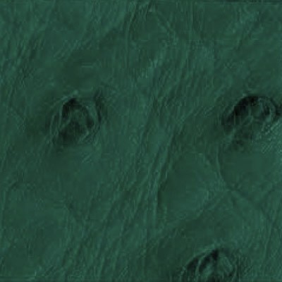 Cyprus ostrich leather