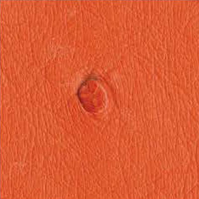 Tangerine ostrich leather