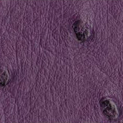 Violet ostrich leather